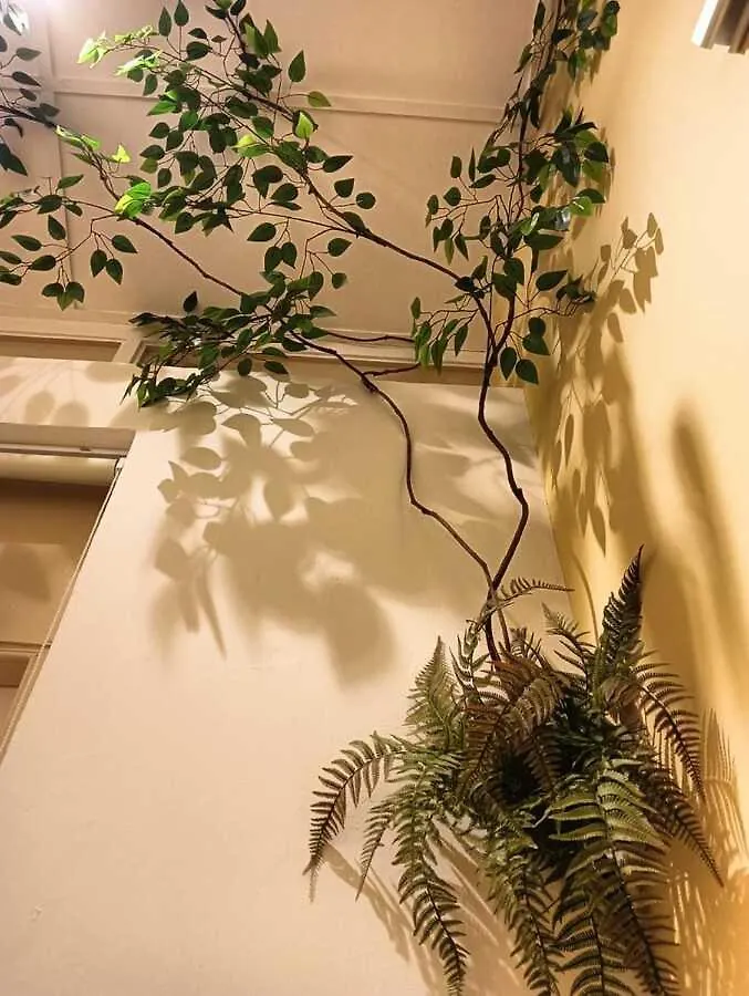 New! 9 Pax Georgetown Heritage Pre-War House 3Br 0*, 乔治敦 马来西亚